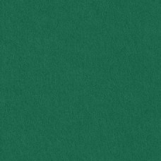 Бумага дизайнерская<br>COLORPLAN зеленый<br>270 г/м2