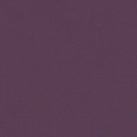 Бумага дизайнерская<br>PLIKE Purple Фиолетовый<br>140 г/м2