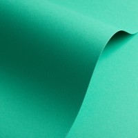 Бумага дизайнерская<br>PRISMA 1/S VERDE ЗЕЛЕНЫЙ<br>220 г/м2