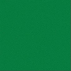 Бумага дизайнерская<br>Feeling Dark Green DS, тёмно-зелёная<br>260 г/м2